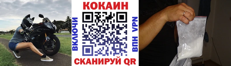 blacksprut маркетплейс  сколько стоит  Енисейск  COCAIN Fish Scale 
