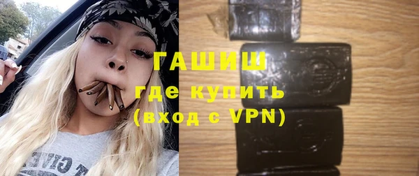 стаф Алзамай
