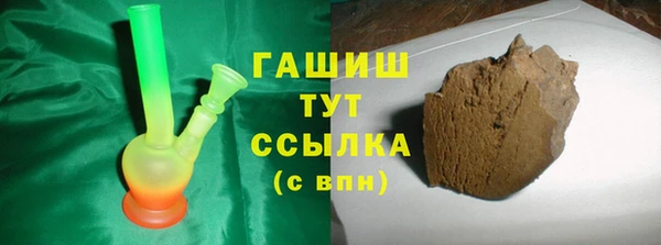 стаф Алзамай