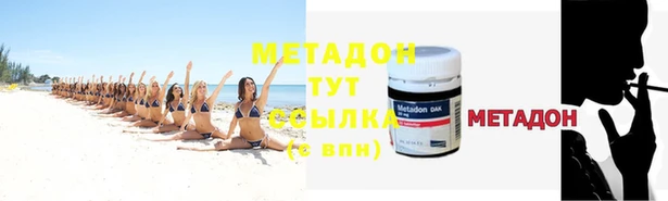 стаф Алзамай
