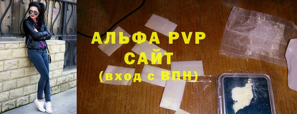 стаф Алзамай
