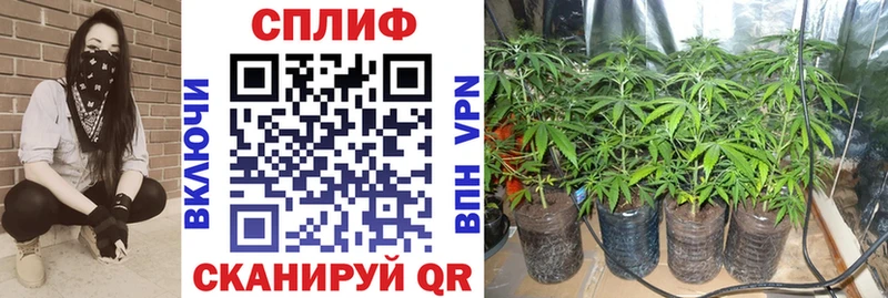 МАРИХУАНА VHQ Енисейск